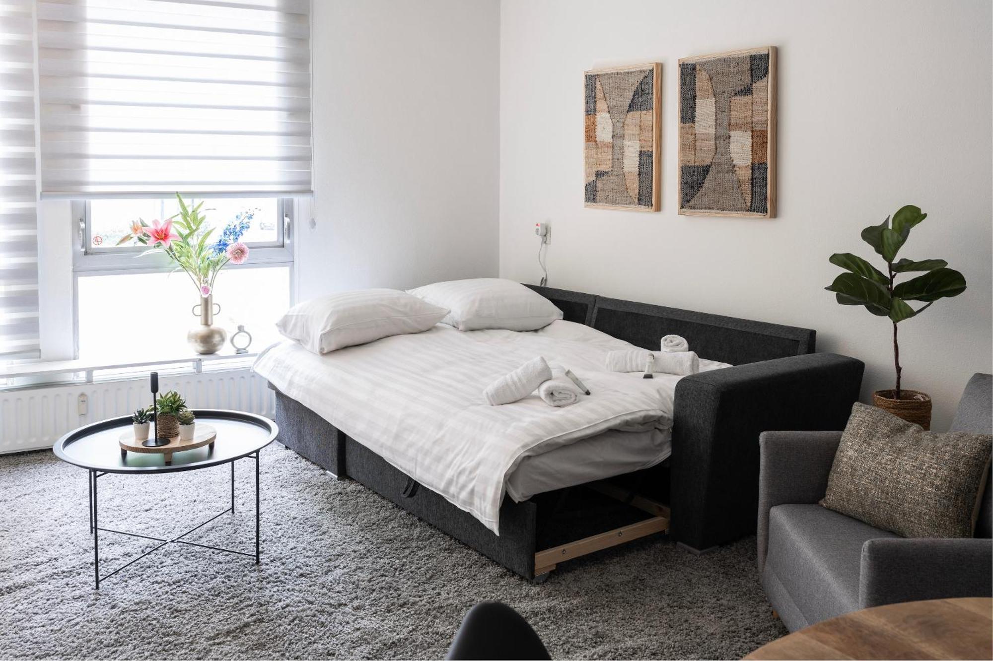 Apartment 5p-home At Spot In Town Near Poppodium 013